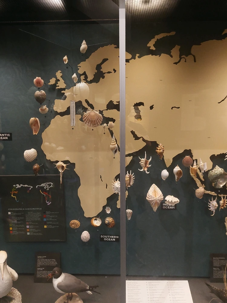 GIF uploaded by Jonathan