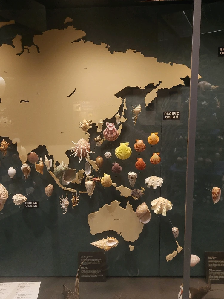 GIF diunggah dening Jonathan