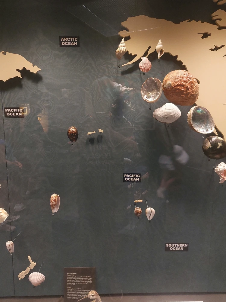 GIF uploaded by Jonathan