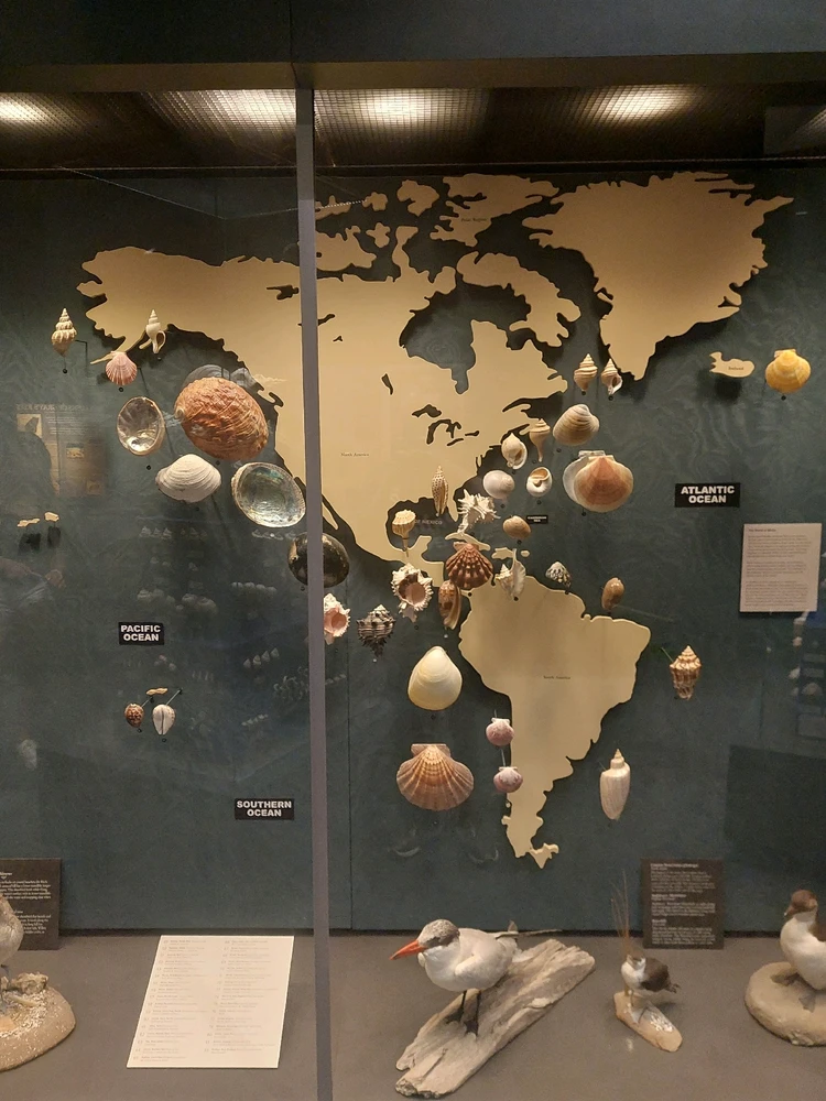 GIF uploaded by Jonathan