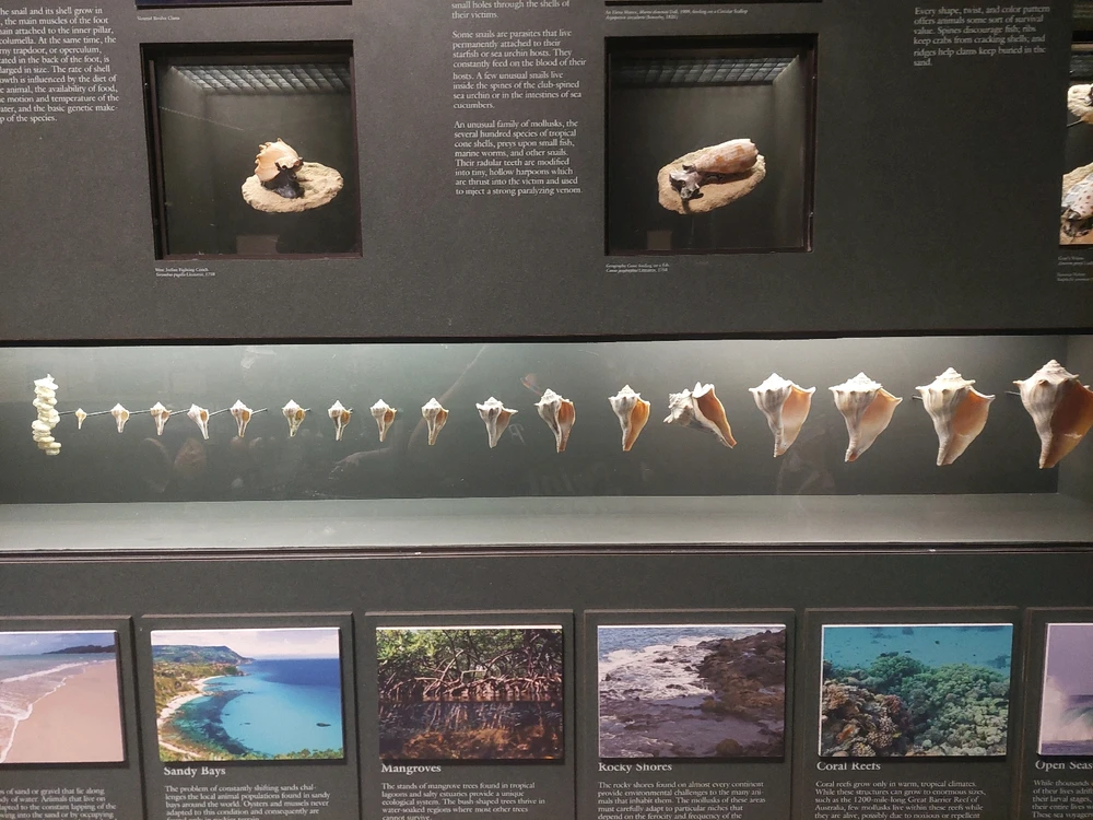 GIF uploaded by Jonathan