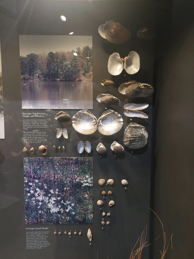 GIF diunggah dening Jonathan