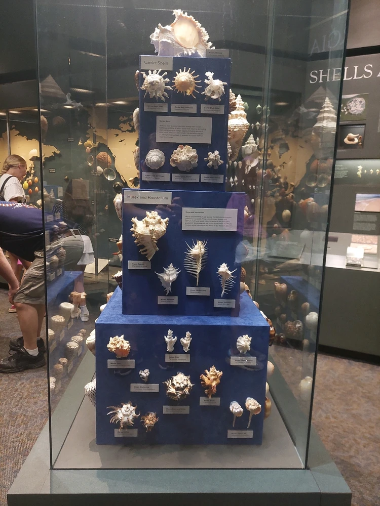 GIF uploaded by Jonathan