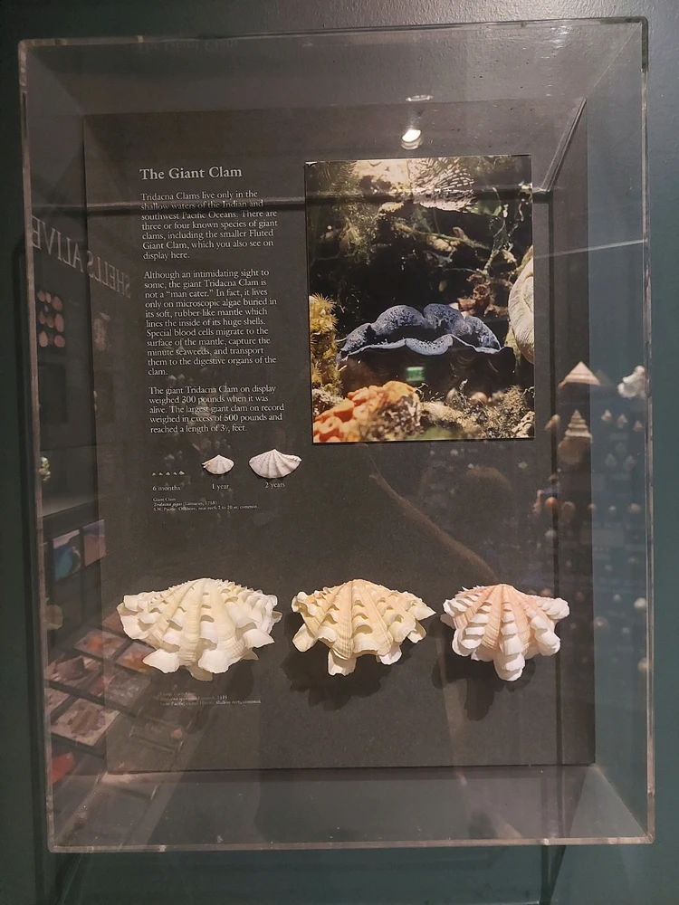 GIF diunggah dening Jonathan