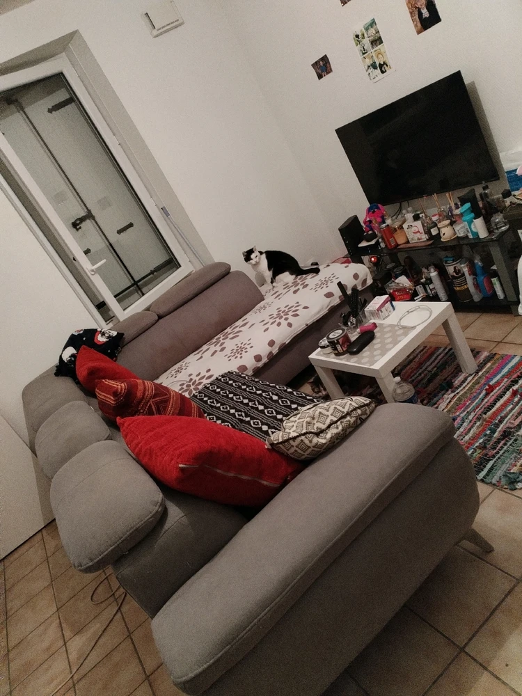 Image ajoutée par Aline