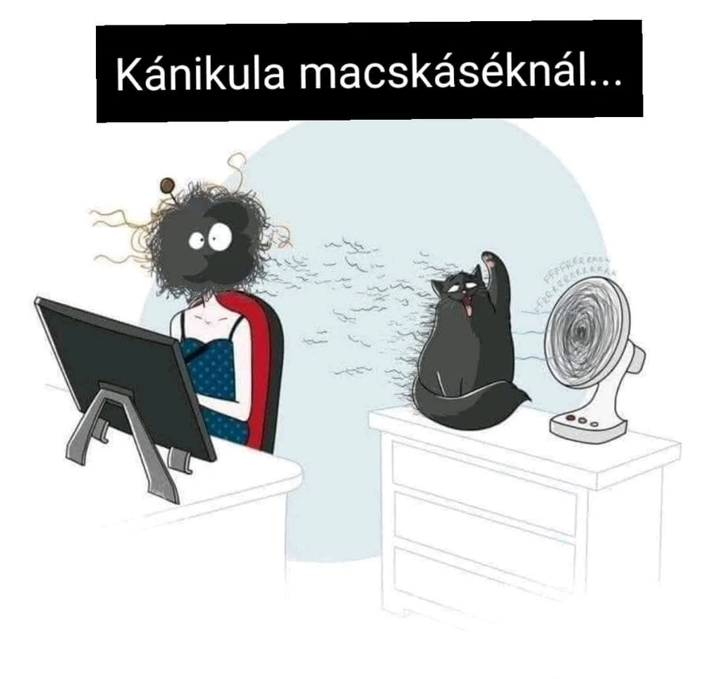 maryblue81 által feltöltött GIF