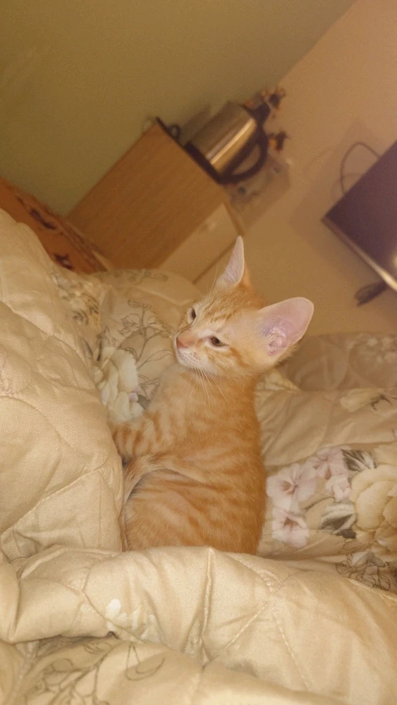 小彬上傳的圖片