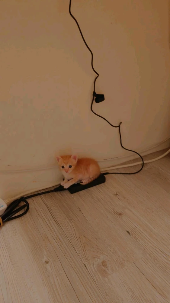 小彬上傳的圖片