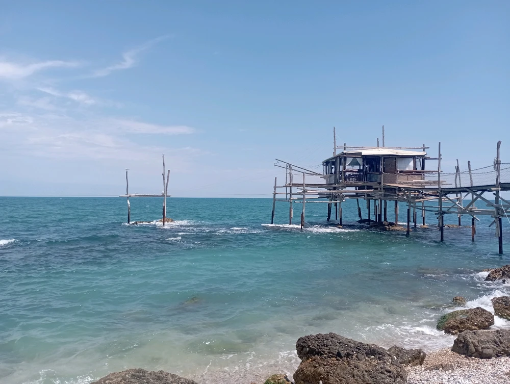 Image uploaded by Federico