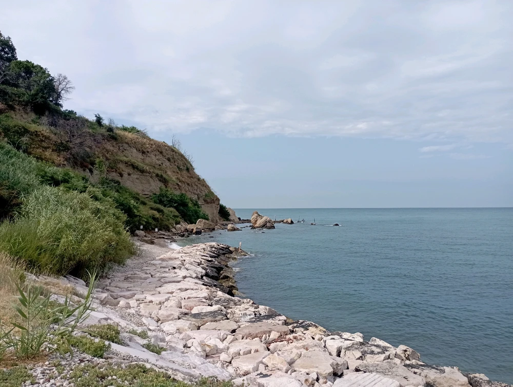 Image uploaded by Federico