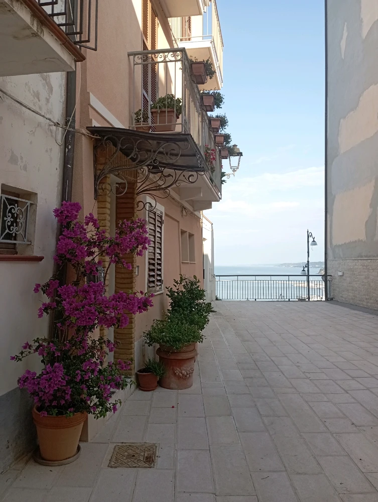 Image uploaded by Federico