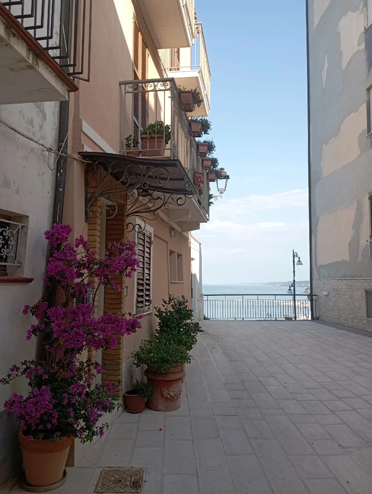 Image uploaded by Federico