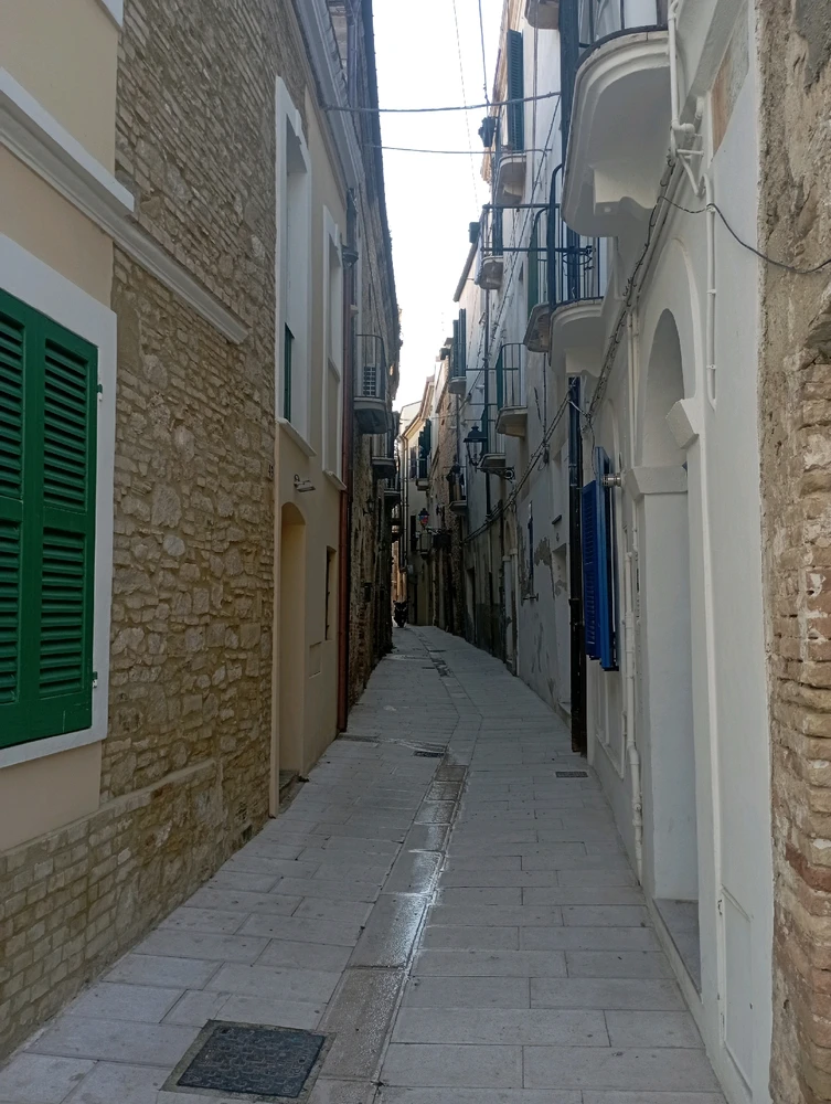 Image uploaded by Federico