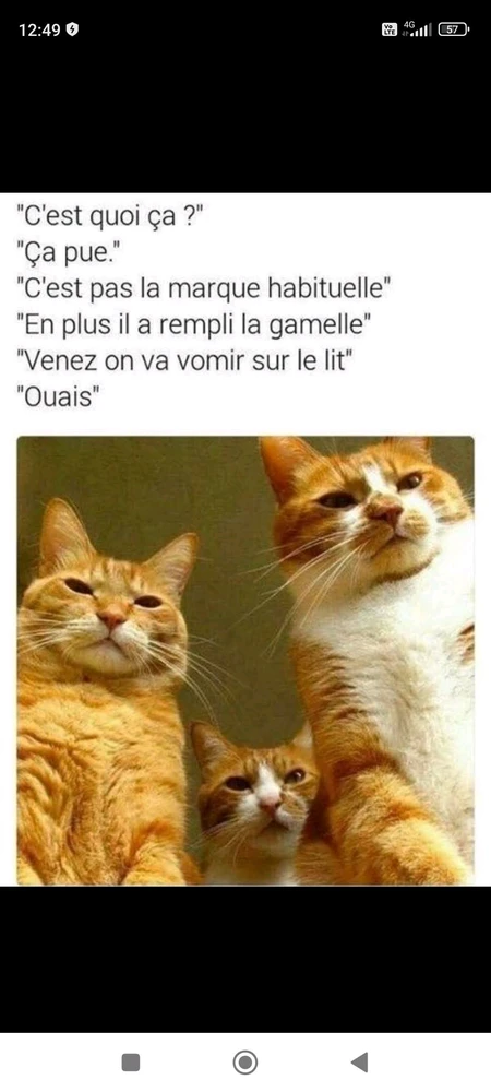 GIF ajouté par Ꭻລԁ𝙚