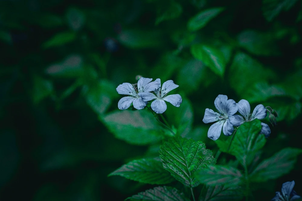 Nuotrauką įkėlė Gytis