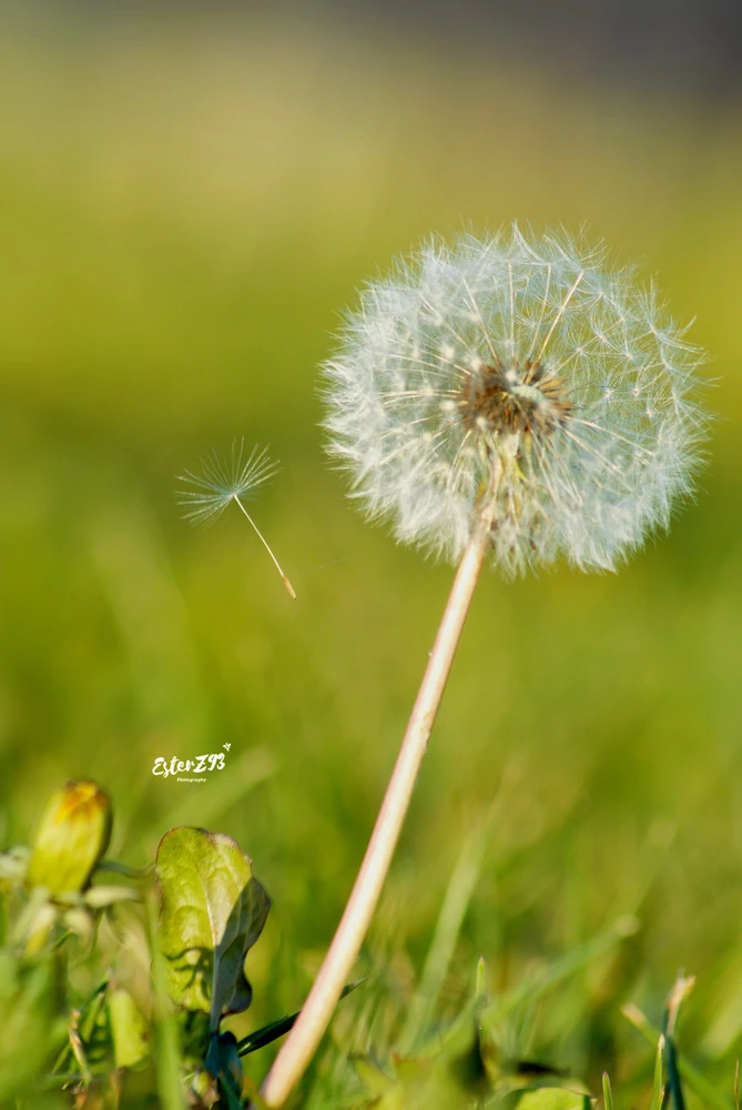 Immagine caricata da Ester