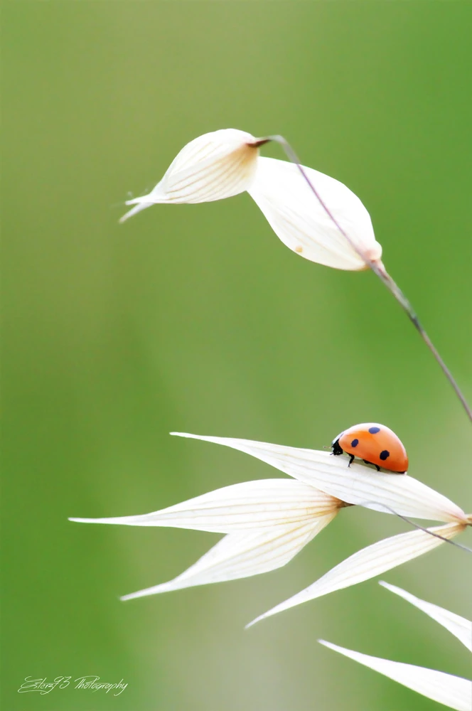 Immagine caricata da Ester