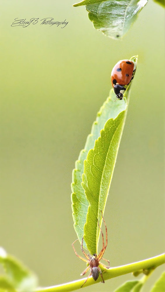 Immagine caricata da Ester