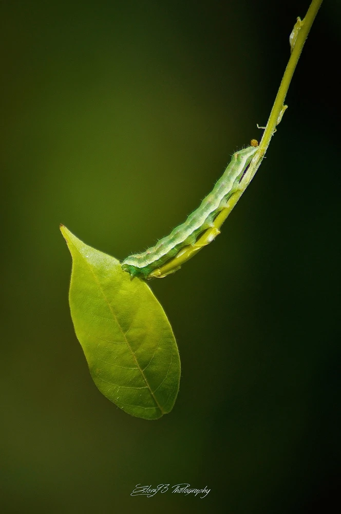 Immagine caricata da Ester