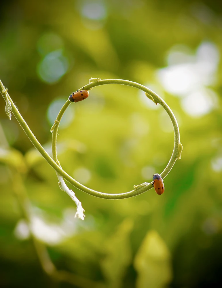 Immagine caricata da Ester