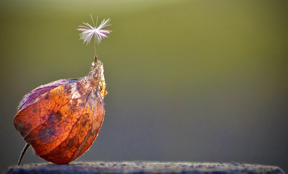 Immagine caricata da Ester