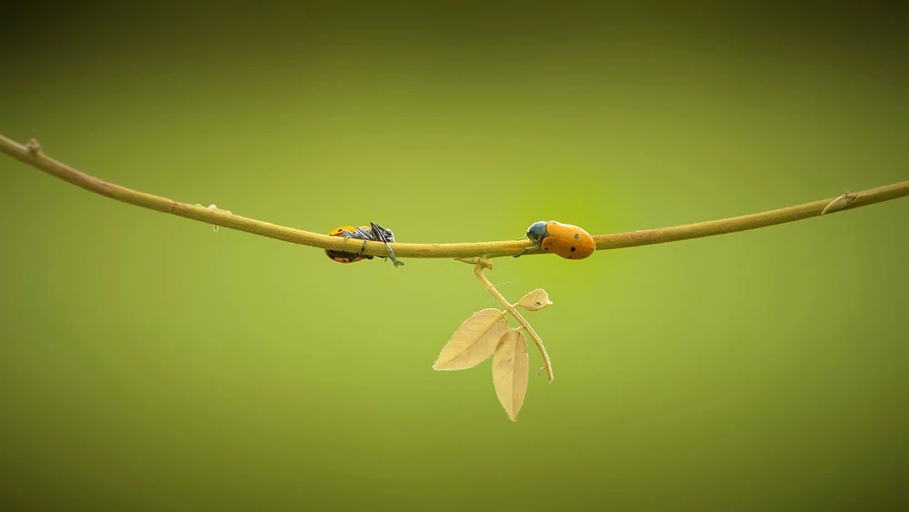 Immagine caricata da Ester