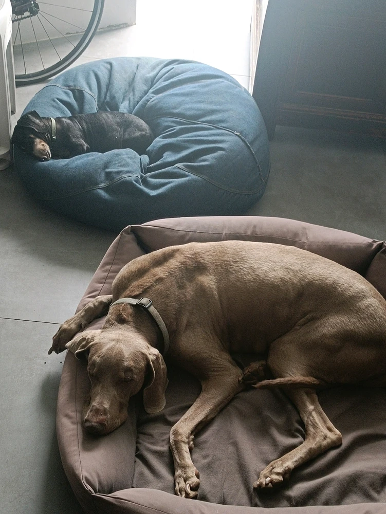 Image uploaded by David