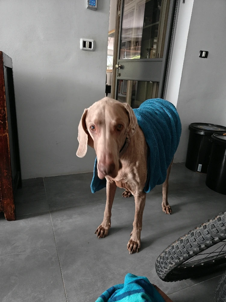 Image uploaded by David