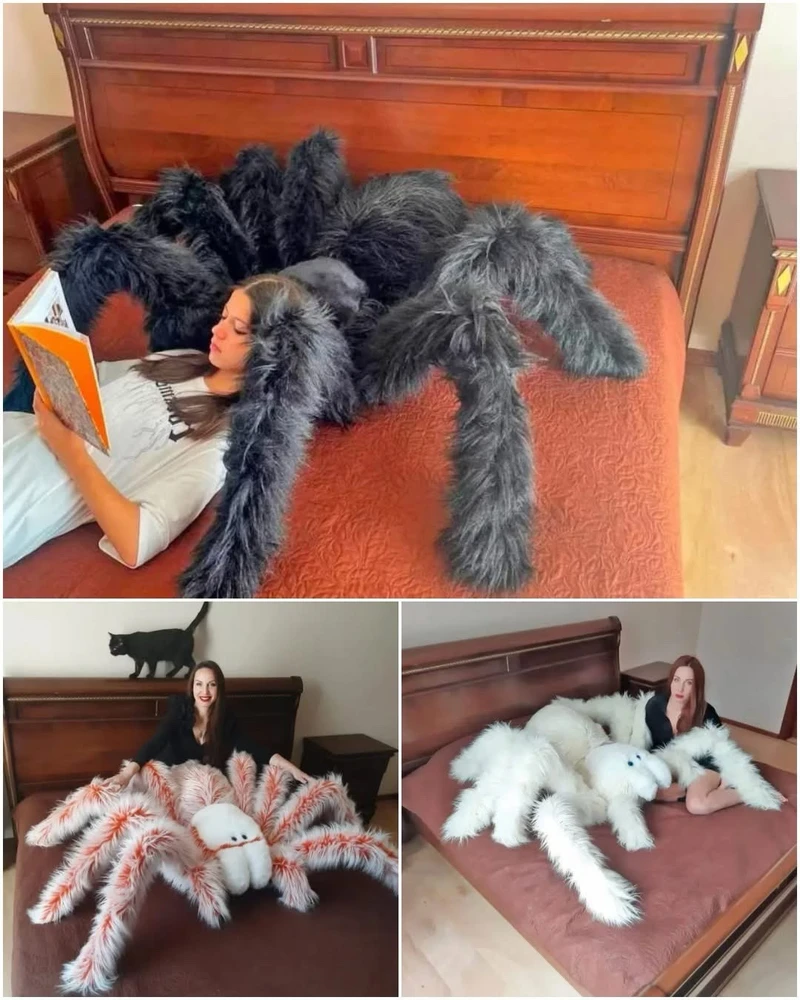 GIF uploaded by Jordan