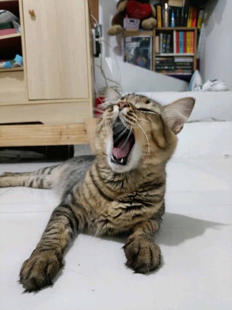 Image uploaded by Kade