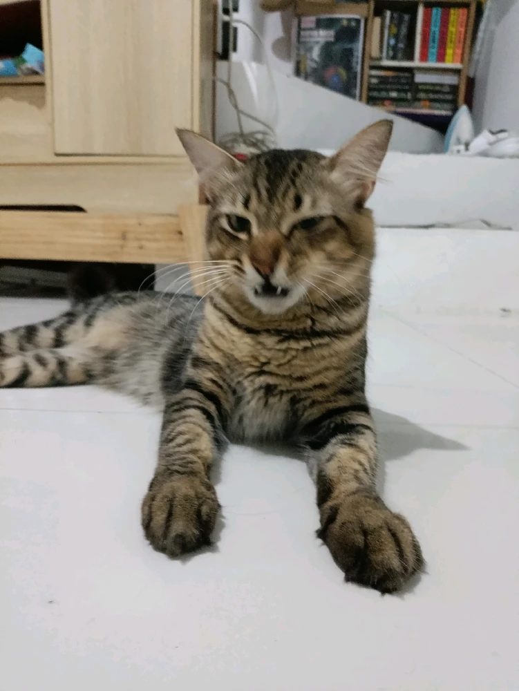 Image uploaded by Kade