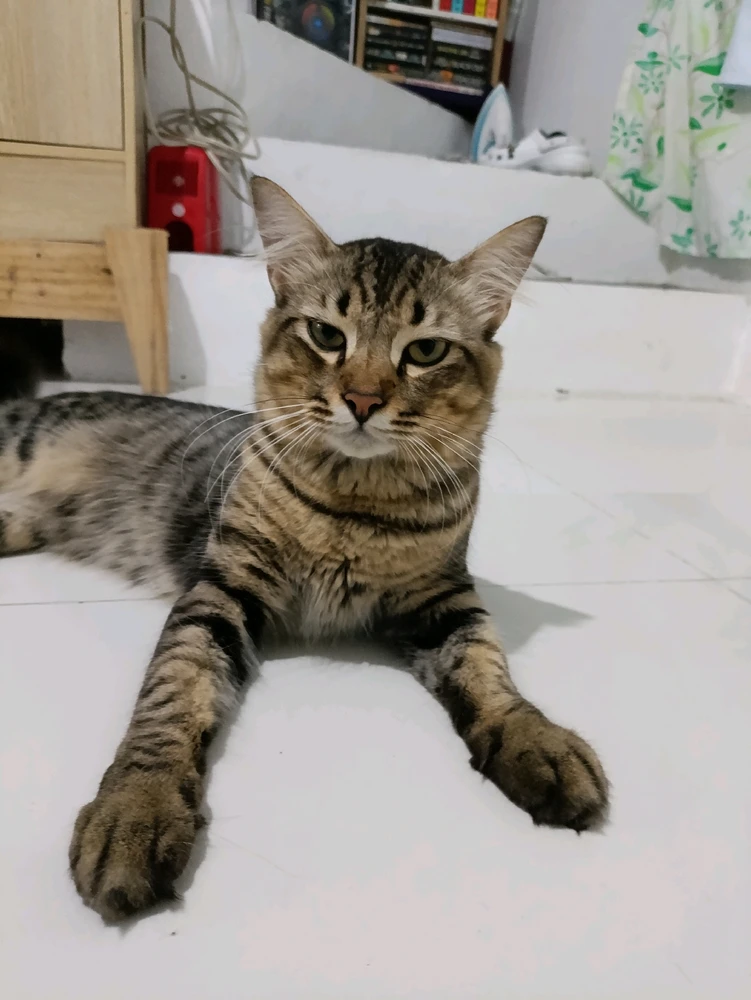 Image uploaded by Kade