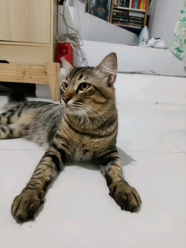 Image uploaded by Kade