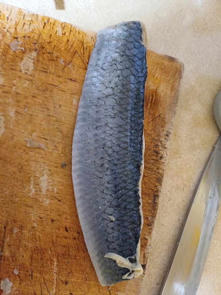 GIF uploaded by Karol