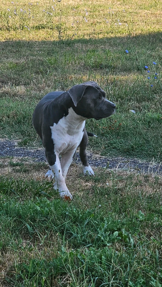 GIF качен от Кирил