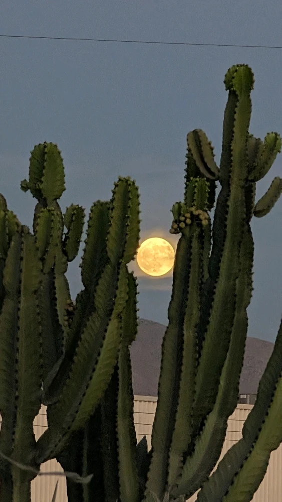 GIF subido por Karen