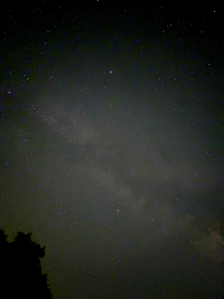 Image uploaded by Jordan