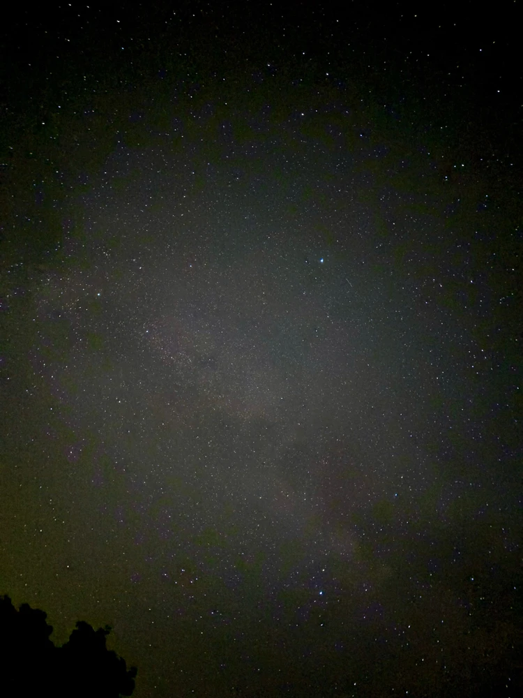 Image uploaded by Jordan