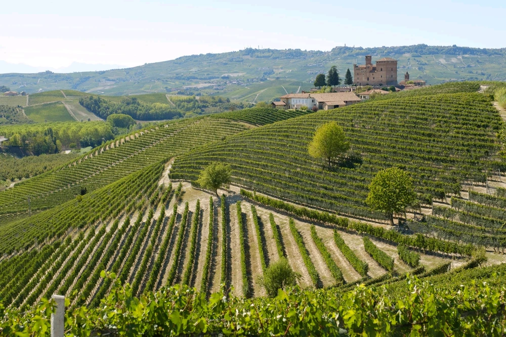 GIF uploaded by Sulei