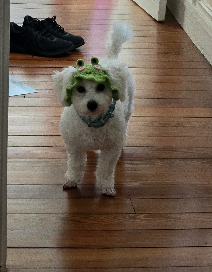 GIF uploaded by Anxious Bunny