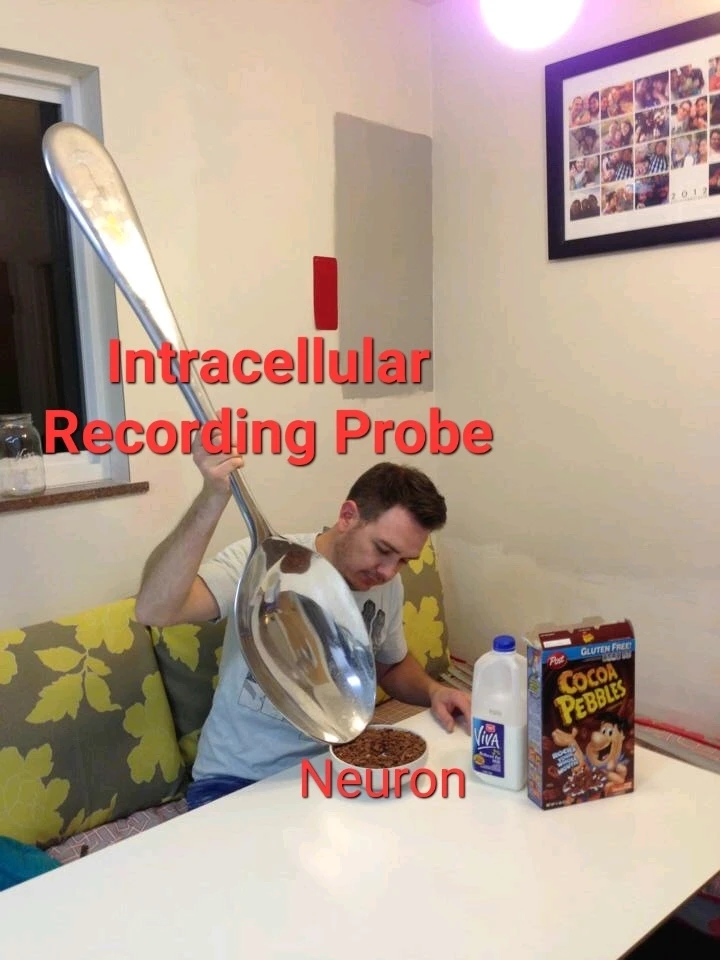 GIF uploaded by Victor