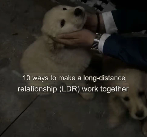 10 ways to make LDR work together 🤔