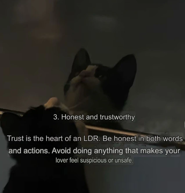 10 ways to make LDR work together 🤔