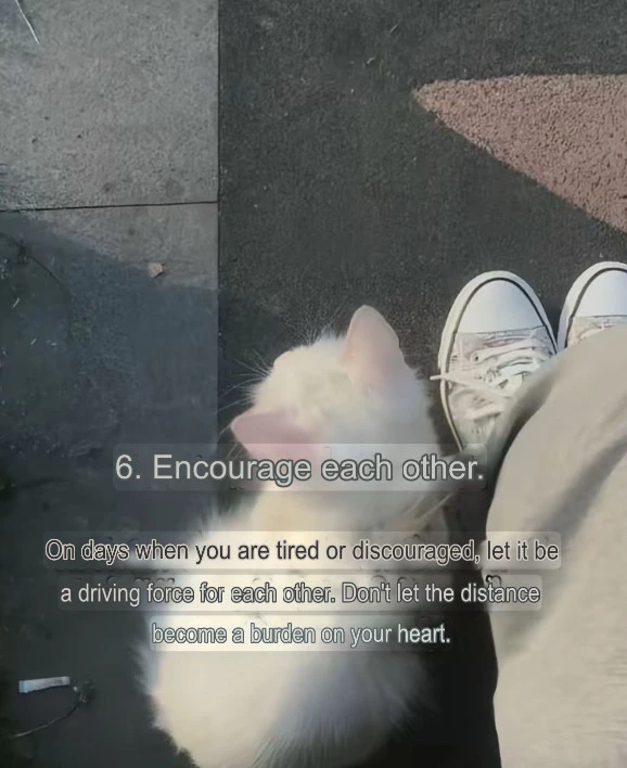 10 ways to make LDR work together 🤔