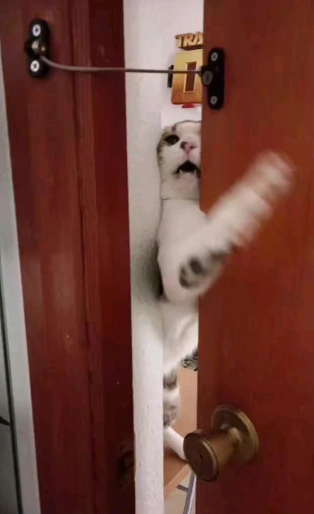 Detenido por Fugas continuas