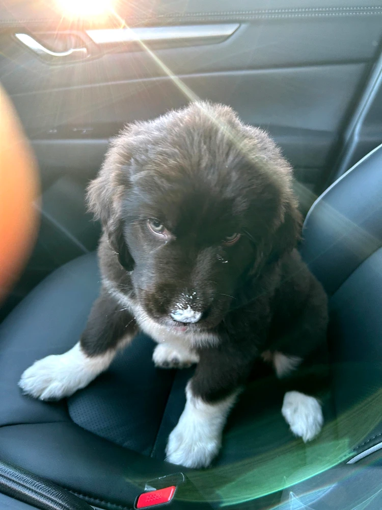 Image uploaded by Shay