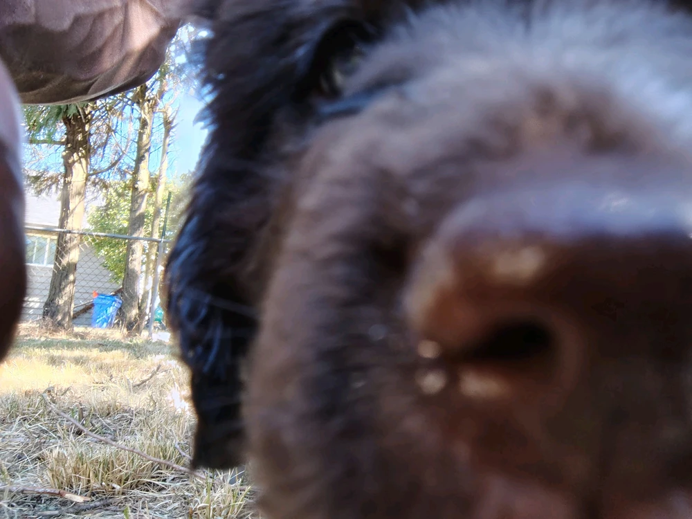 Image uploaded by Shay