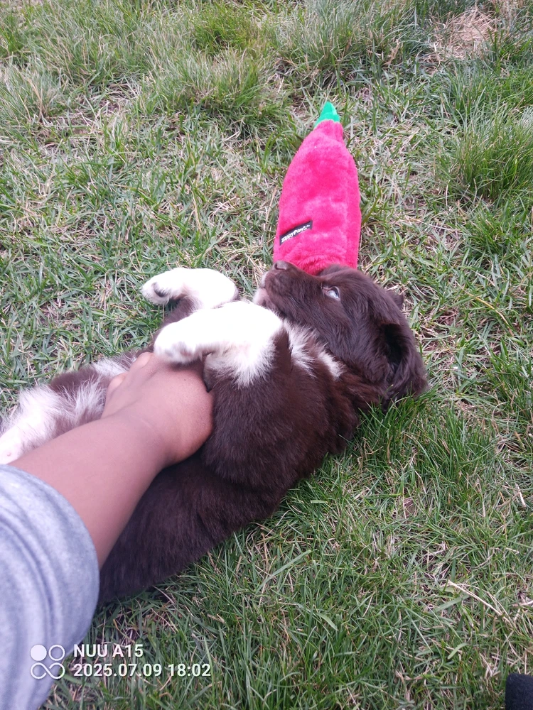 Image uploaded by Shay