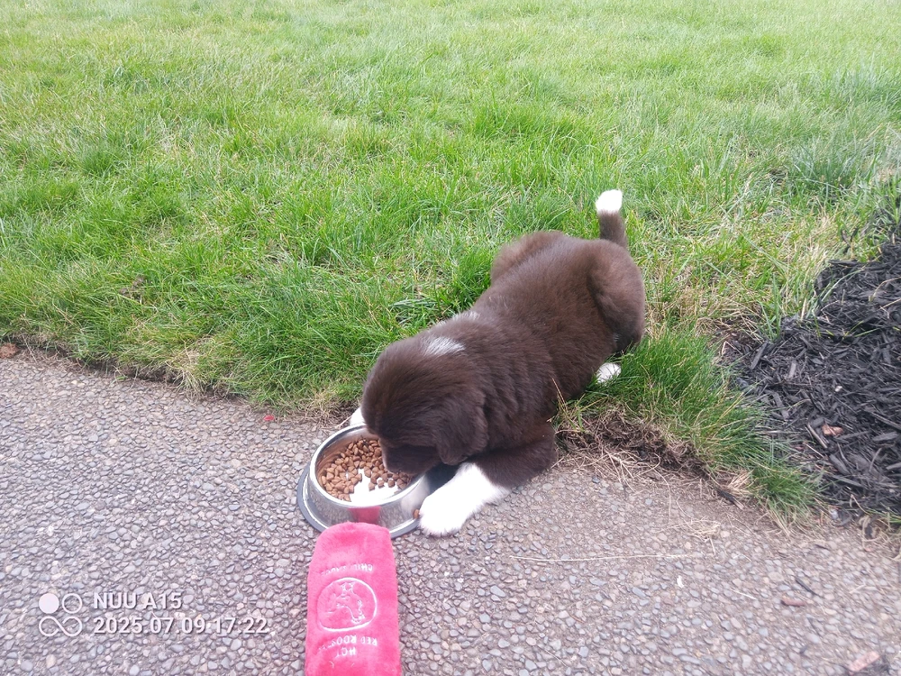 Image uploaded by Shay