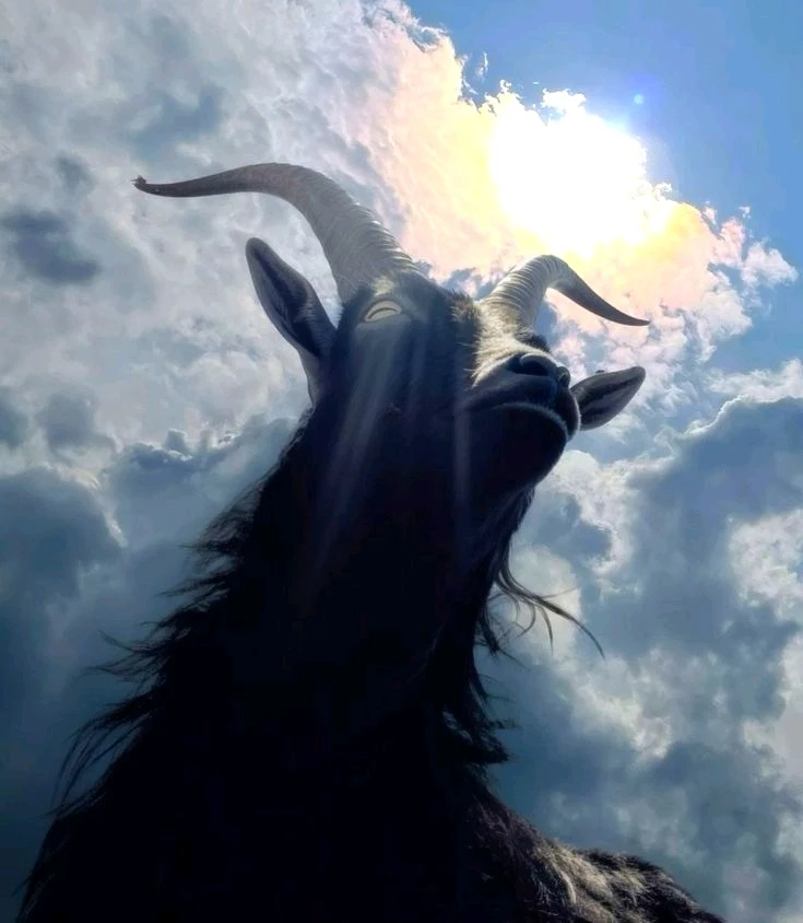 Гіфку завантажив Natalia🦇